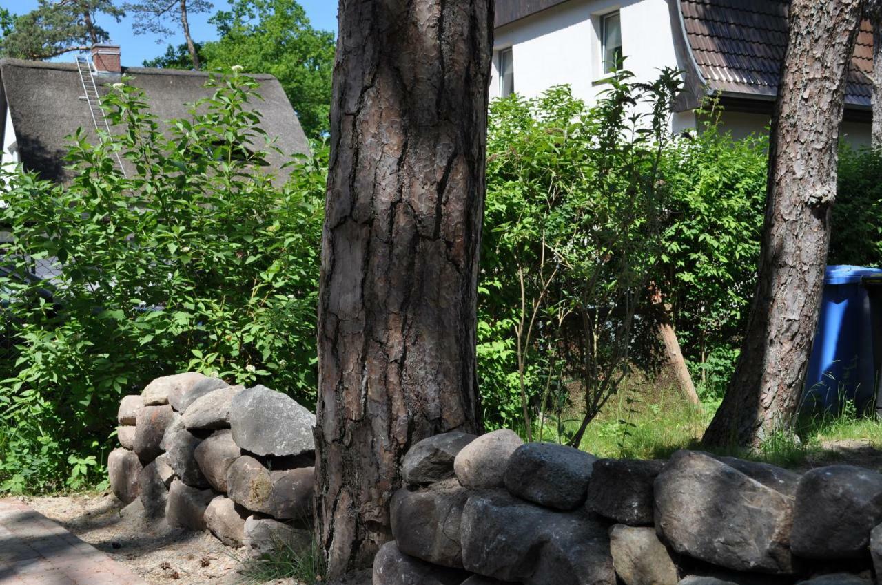 Strandvilla Waldhaus Boltenhagen  Zewnętrze zdjęcie