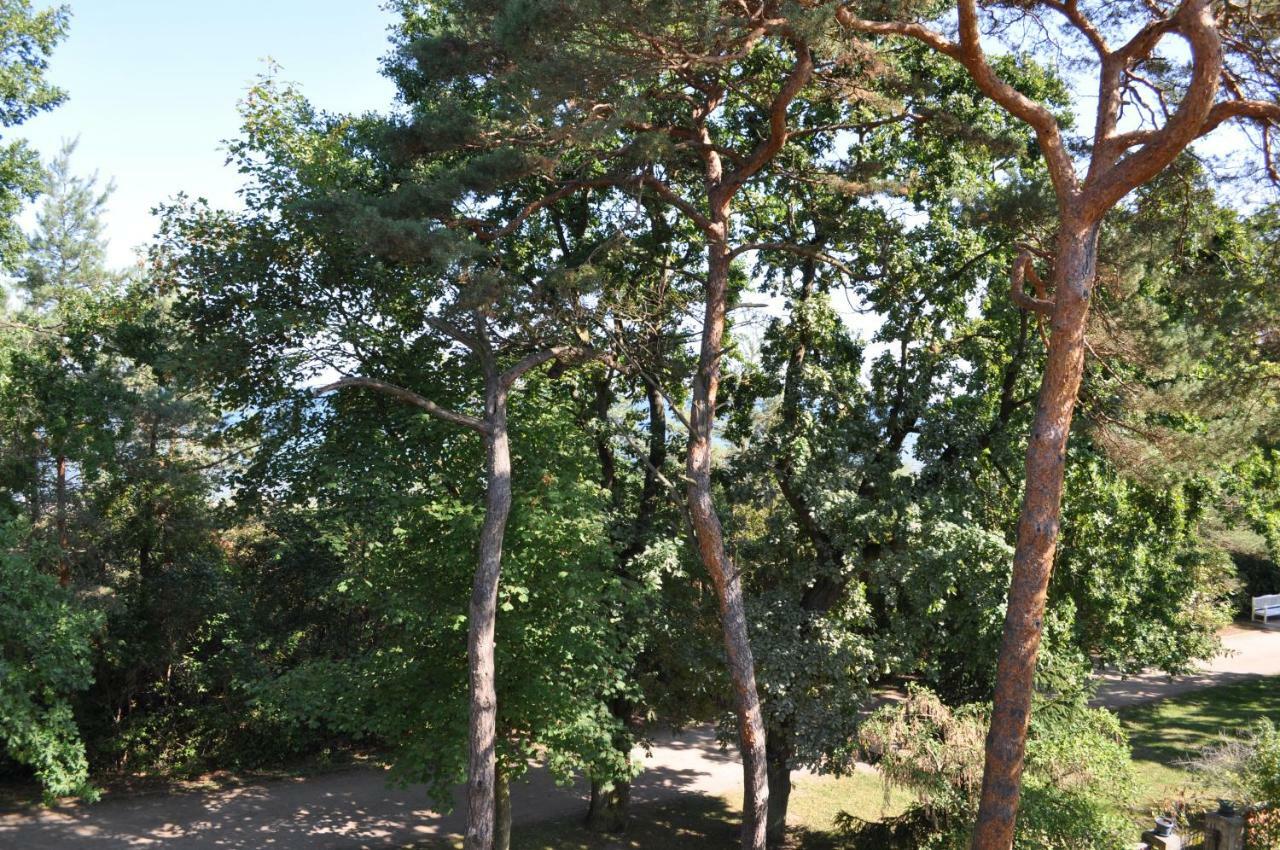 Strandvilla Waldhaus Boltenhagen  Zewnętrze zdjęcie