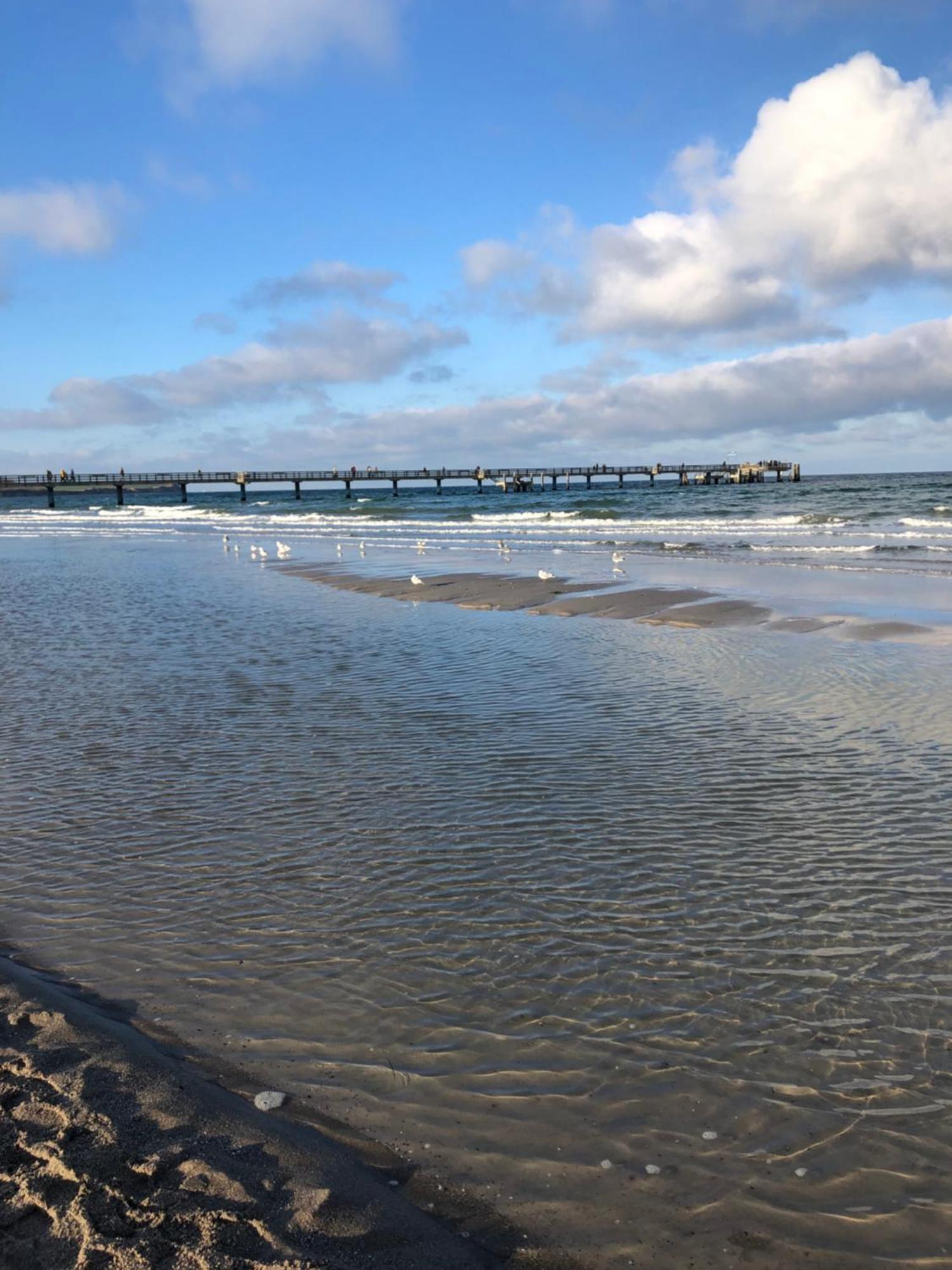 Strandvilla Waldhaus Boltenhagen  Zewnętrze zdjęcie